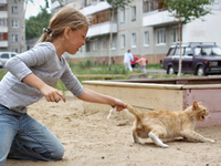 Pourquoi l'enfant torture-t-il les animaux?