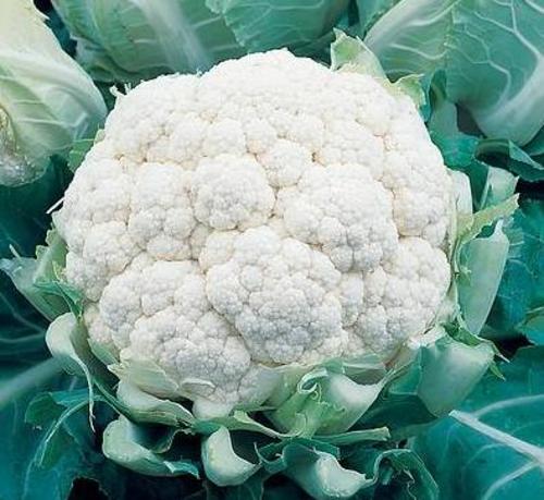 salade de chou-fleur