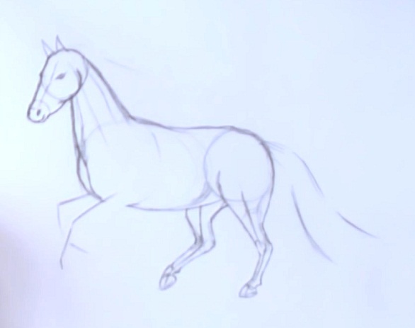 Comment dessiner un cheval par étapes