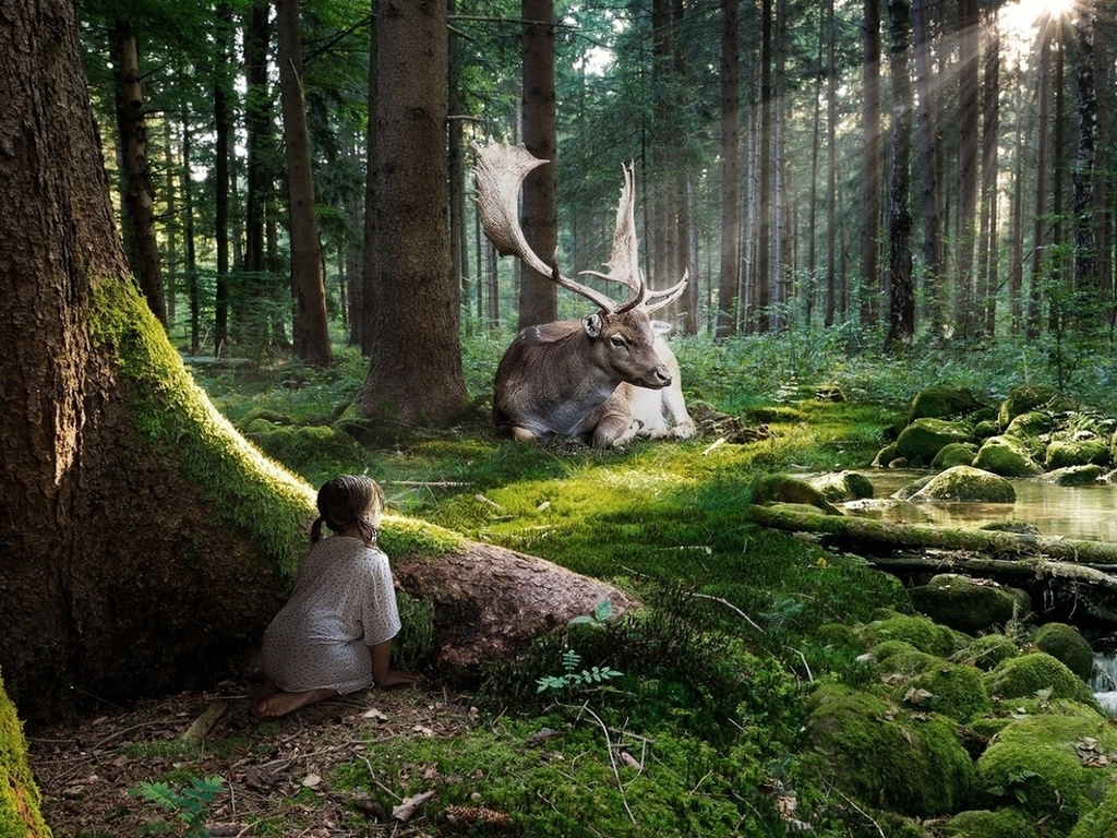 Astuce 1: Pourquoi les gens ne protègent pas la nature