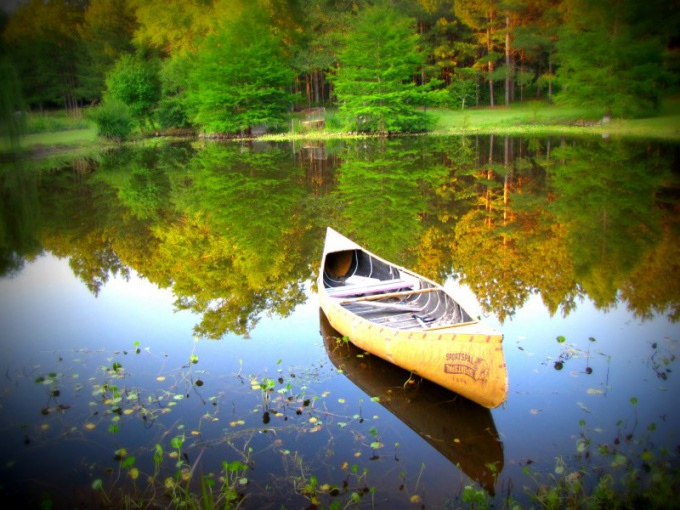 La cohérence et la variabilité de la nature peuvent inspirer l'artiste