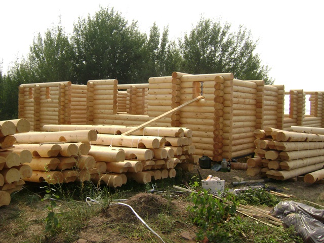 Sélection de bois pour la construction d'une maison d'habitation