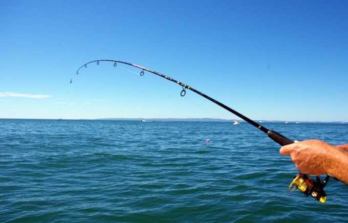 Comment tricoter des noeuds de pêche