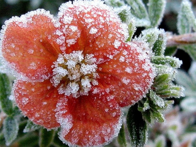 Comment le givre et la rosée se forment